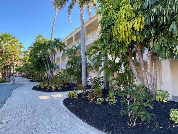 Imagen general del Hotel Divi Carina Bay Beach Resort & Casino Adult Only. Foto 50