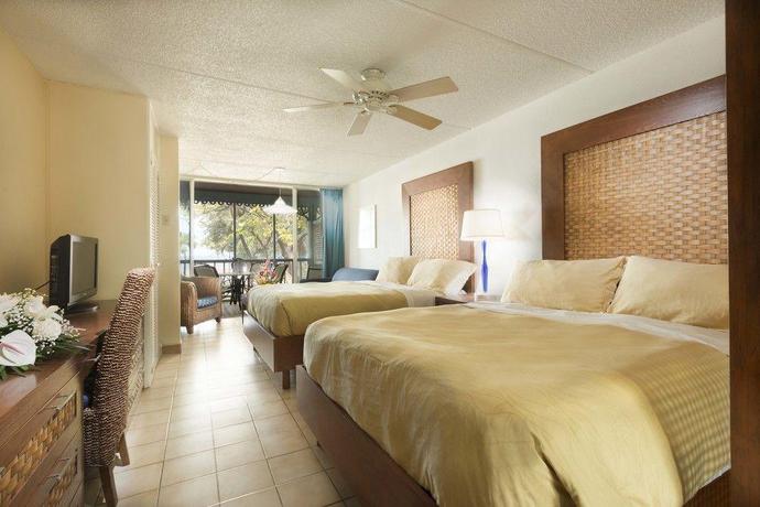 Imagen de la habitación del Hotel Divi Flamingo Beach Resort and Casino. Foto 16