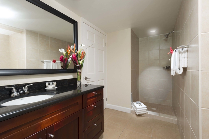 Imagen de la habitación del Hotel Divi Little Bay Beach Resort. Foto 12