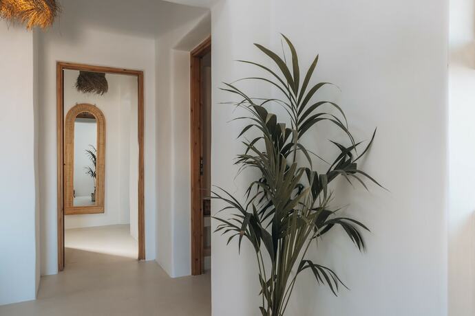 Imagen general del Hotel Divino Caldera. Foto 9