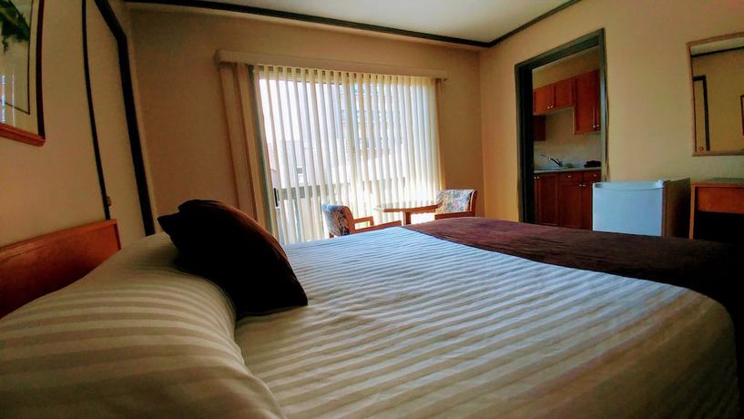 Imagen de la habitación del Hotel Divya Sutra Plaza and Conference Centre. Foto 3