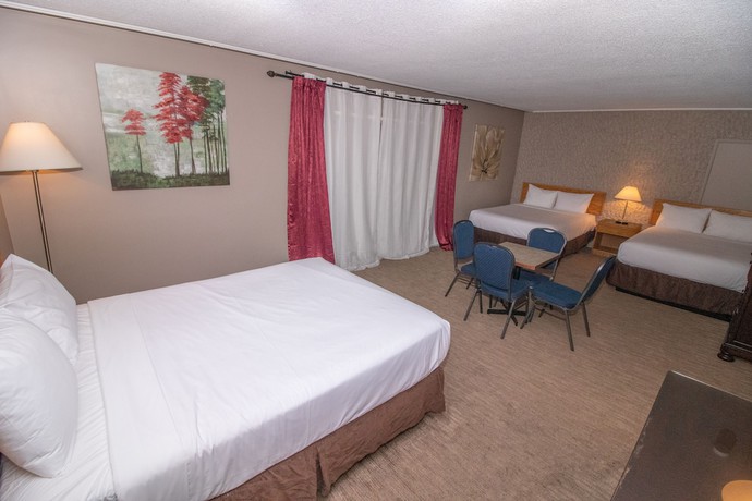 Imagen de la habitación del Hotel Divya Sutra Plaza and Conference Centre. Foto 4