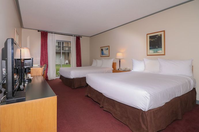 Imagen de la habitación del Hotel Divya Sutra Plaza and Conference Centre. Foto 7