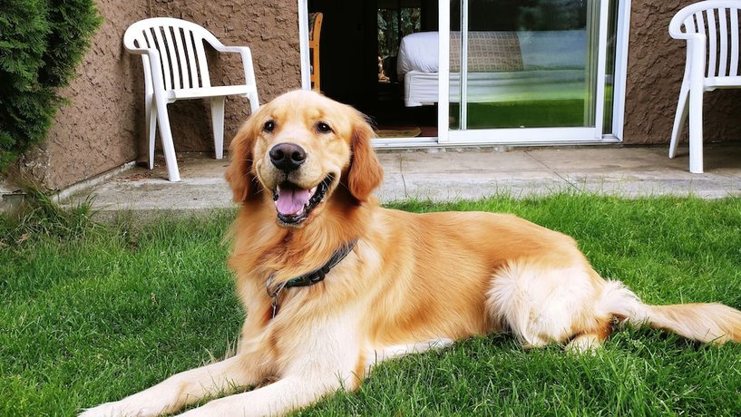 Imagen de la habitación del Hotel Divya Sutra Plaza and Conference Centre. Foto 13