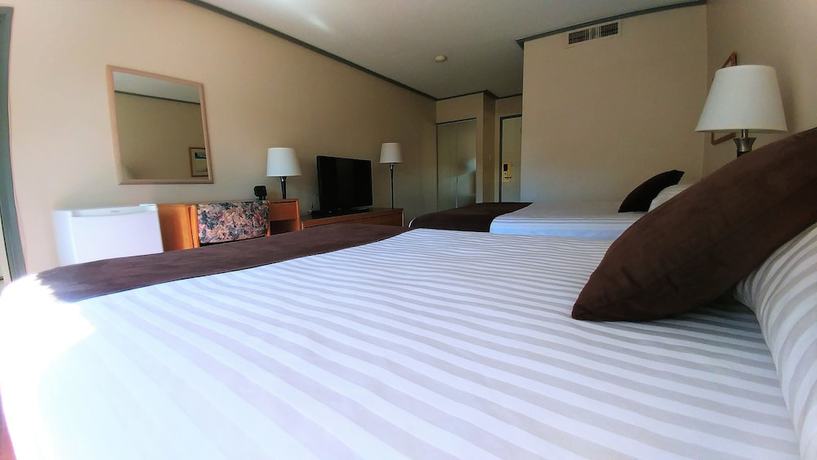 Imagen de la habitación del Hotel Divya Sutra Plaza and Conference Centre. Foto 14