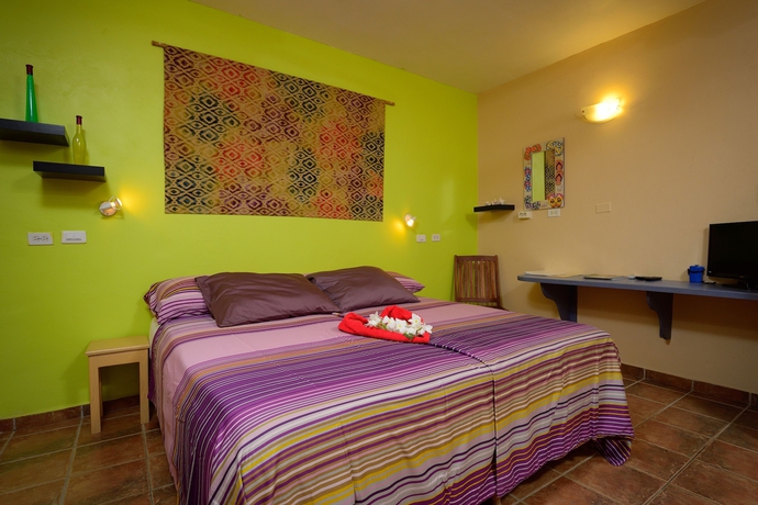 Imagen de la habitación del Hotel Djambo Apartments - Adults Only. Foto 2