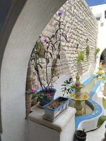 Imagen de los interiores del Hotel Djerba Authentique. Foto 12