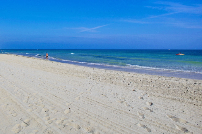 Imagen de los exteriores del Hotel Djerba Plaza Thalasso and Spa. Foto 7