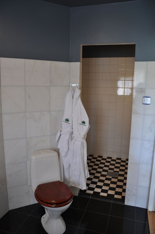 Imagen de la habitación del Hotel Djingis Khan. Foto 2