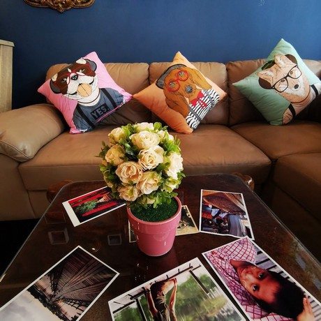 Imagen de los interiores del Hotel Dluck Hostel. Foto 15