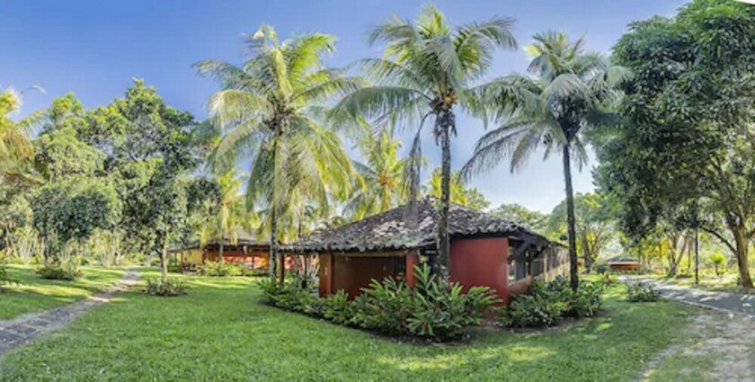 Imagen de la habitación del Hotel Dm es Tarapoto. Foto 32