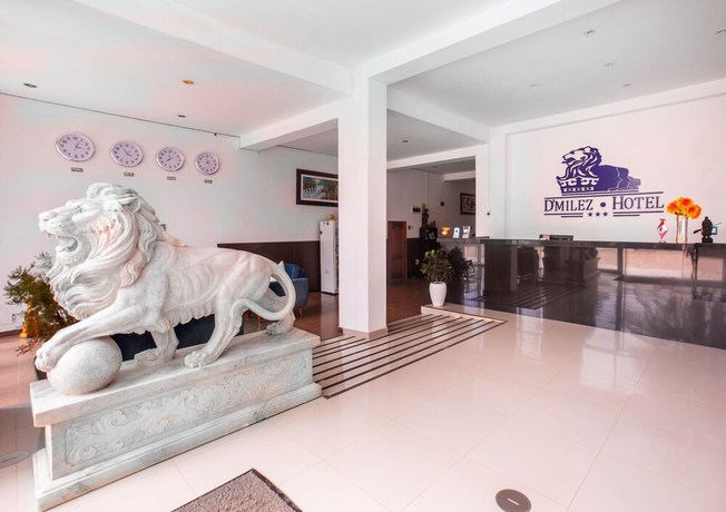 Imagen de los interiores del Hotel Dmilez. Foto 17
