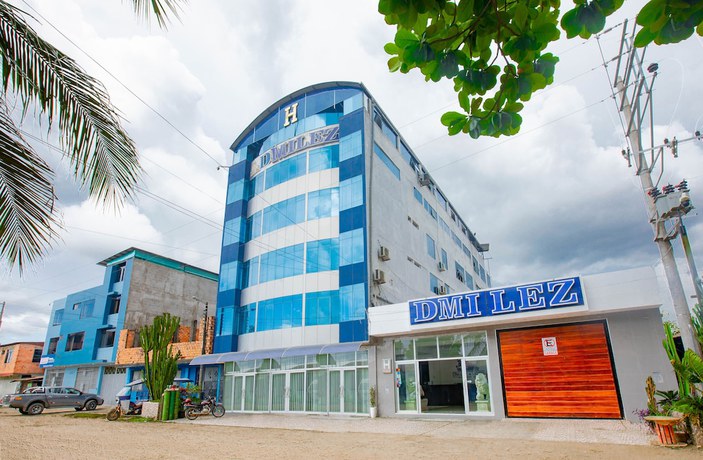 Imagen general del Hotel Dmilez. Foto 1
