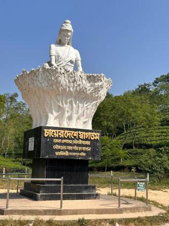Imagen general del Hotel D\'more Sreemangal & Resort. Foto 1