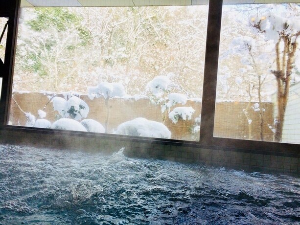 Imagen de la piscina del Hotel Dochu Land Shin Onsen. Foto 12