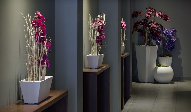 Imagen de los interiores del Hotel Dodo. Foto 16