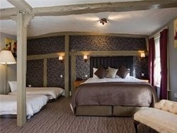 Imagen general del Hotel Dog and Bear, Maidstone. Foto 2