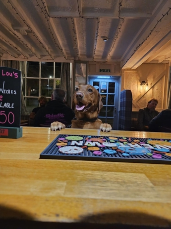 Imagen general del Hotel Dog and Partridge Inn. Foto 2
