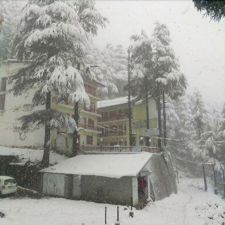 Imagen general del Hotel Dogra Residency Bar and Resturant. Foto 3