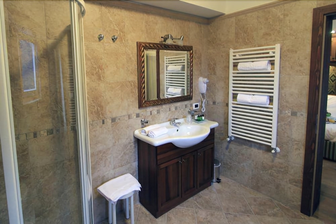 Imagen de la habitación del Hotel Dolasilla Park. Foto 16