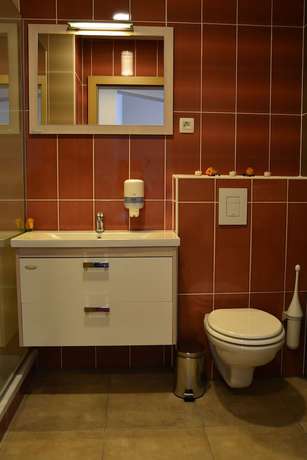 Imagen de la habitación del Hotel Dolenjc. Foto 13