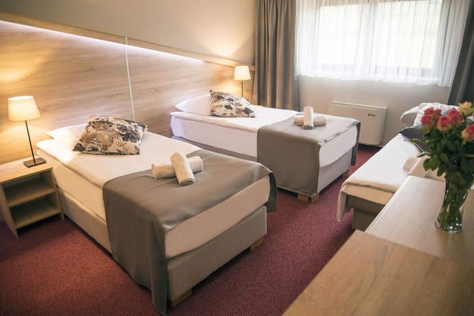 Imagen de la habitación del Hotel Dolenjc. Foto 18