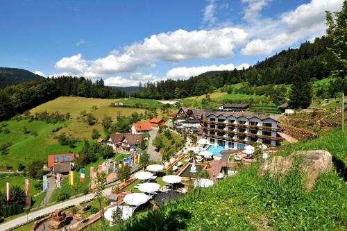 Imagen general del Hotel Dollenberg. Foto 1