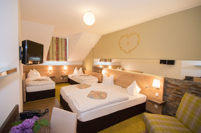 Imagen de la habitación del Hotel Dollinger. Foto 10