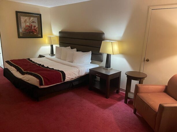 Imagen general del Hotel Dollinger\'s Motor Inn. Foto 4