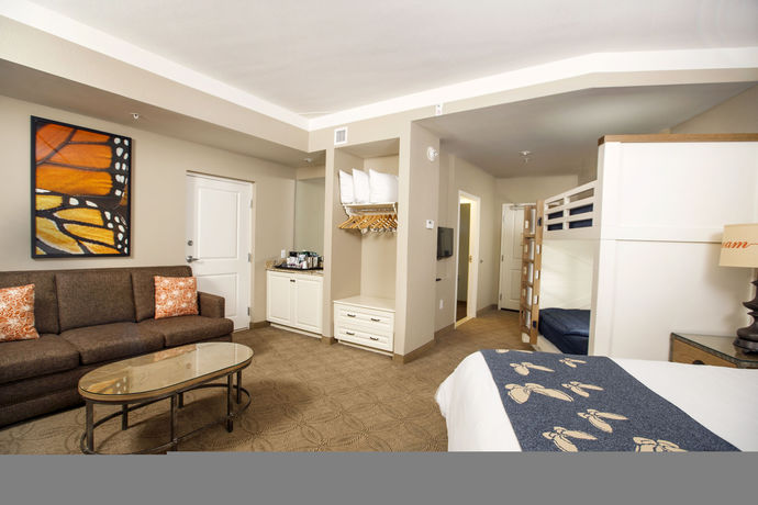 Imagen de la habitación del Hotel Dollywood's Dreammore Resort. Foto 5