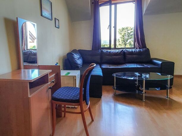 Imagen de la habitación del Hotel Dolna Bania. Foto 12