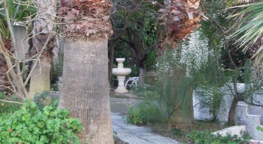 Imagen de los exteriores del Hotel Dolphin Apartments, Faliraki. Foto 11