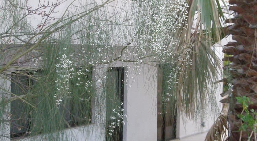Imagen de los exteriores del Hotel Dolphin Apartments, Faliraki. Foto 15