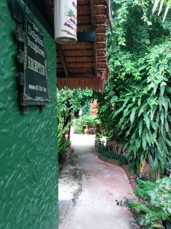 Imagen de la habitación del Hotel Dolphin Bungalows. Foto 8