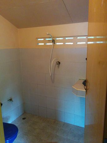 Imagen del bar/restaurante del Hotel Dolphin Bungalows. Foto 7