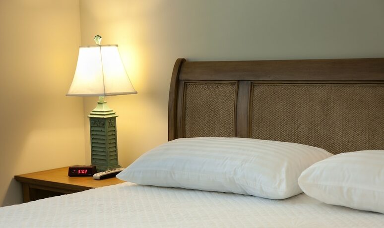 Imagen de la habitación del Hotel Dolphin Cove - Adults Only. Foto 14