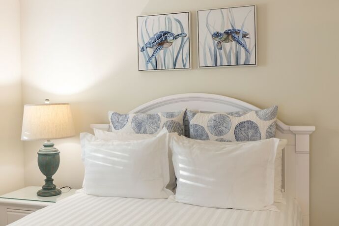 Imagen general del Hotel Dolphin Cove - Adults Only. Foto 4