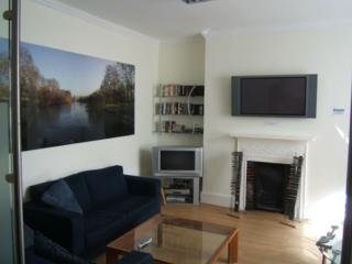 Imagen general del Hotel Dolphin Inn. Foto 4