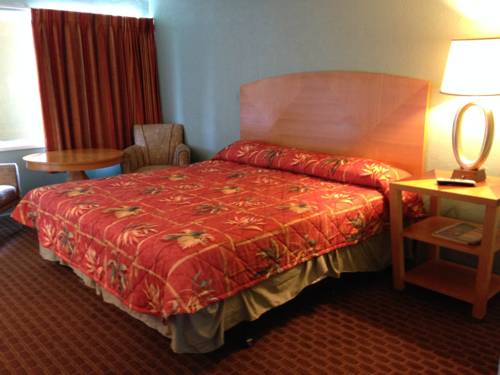 Imagen de la habitación del Hotel Dolphin Inn, Wildwood. Foto 10