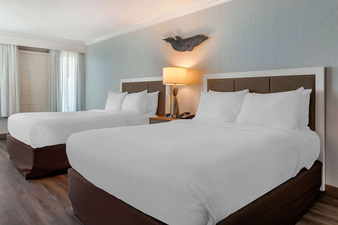 Imagen de la habitación del Hotel Dolphin Sands Clearwater Beach, an Ascend Collection Hotel. Foto 1
