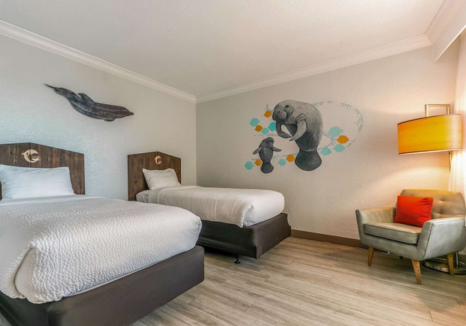 Imagen de la habitación del Hotel Dolphin Sands Clearwater Beach, an Ascend Collection Hotel. Foto 2
