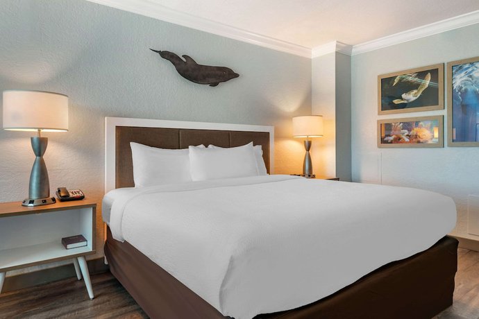 Imagen de la habitación del Hotel Dolphin Sands Clearwater Beach, an Ascend Collection Hotel. Foto 3