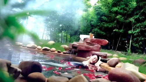 Imagen general del Hotel Dolton Changsha Spa. Foto 19