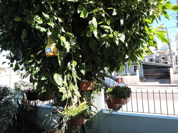 Imagen de los interiores del Hotel Dom Fish. Foto 11