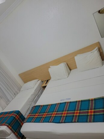 Imagen de la habitación del Hotel Dom Pedro, Petr&oacute;polis. Foto 15