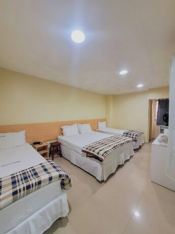 Imagen general del Hotel Dom Pedro, Petr&oacute;polis. Foto 4
