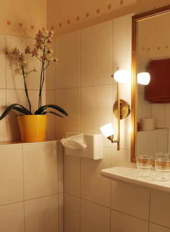 Imagen de la habitación del Hotel Dom, St. Blasien. Foto 9