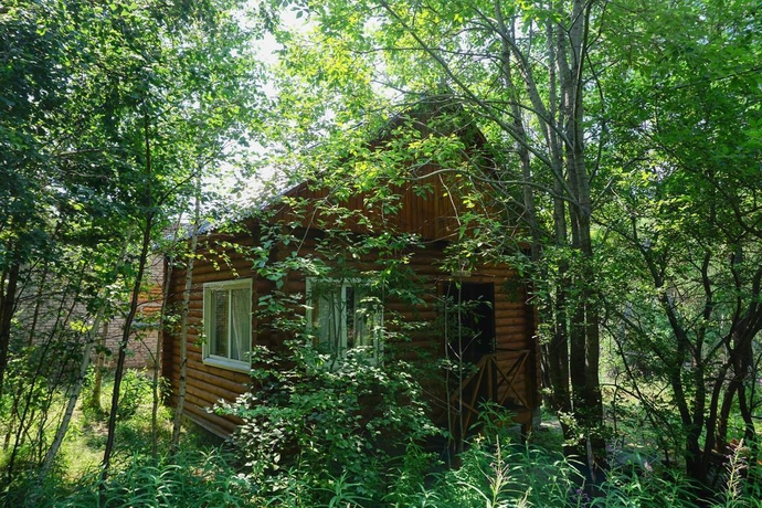 Imagen general del Hotel Dom Tvorchestva Baikal. Foto 10