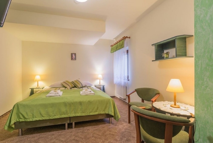 Imagen de la habitación del Hotel Dom Wczasowy Na Kamiencu. Foto 7