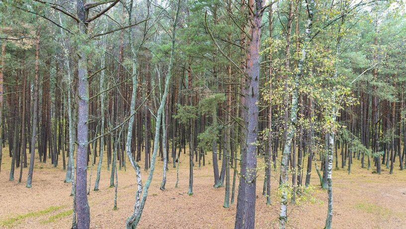 Imagen general del Hotel Dom Wczasowy Sailor. Foto 10